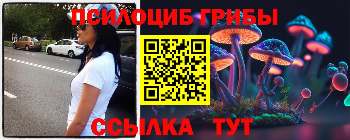 Лыткарино  Галлюциногенные грибы Magic Shrooms  Псилоцибиновые грибы Cubensis  Вход с VPN 
